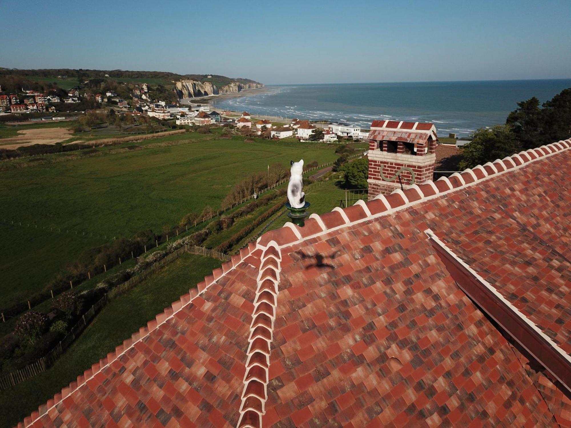 The Old Fenwick House Daire Hautot-sur-Mer Dış mekan fotoğraf